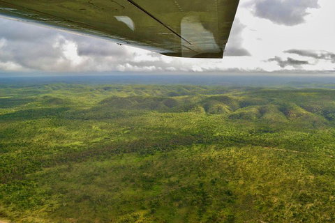 Litchfield Park & Daly River - Scenic Flight From Darwin - Schoolies Week Accommodation 2