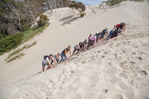 6-Day Tasmanian Explorer Adventure Tour From Hobart - Schoolies Week Accommodation 2