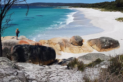 2-Day Tas East Coast Escape Tour Including Bay Of Fires, Wineglass Bay & Devils - Schoolies Week Accommodation 4
