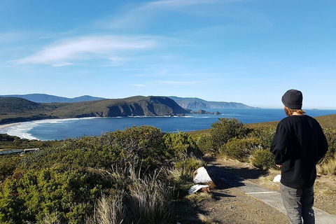 4-Day Fabulous Tasmania Tour: Wineglass Bay, Port Arthur, Devils & Bruny Island - Schoolies Week Accommodation 0