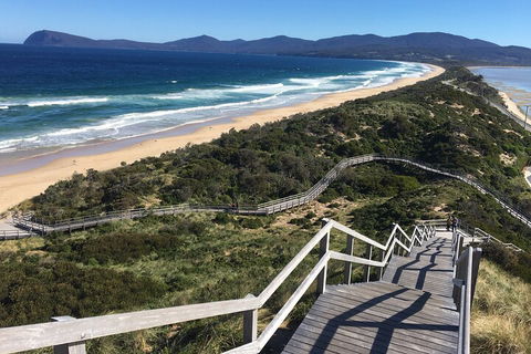 4-Day Fabulous Tasmania Tour: Wineglass Bay, Port Arthur, Devils & Bruny Island - Schoolies Week Accommodation 5