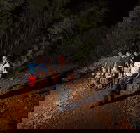 Alice Springs Desert Park Nocturnal Tour - Schoolies Week Accommodation