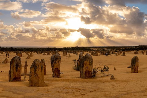 Half Day Pinnacles Sunset Tour - Schoolies Week Accommodation 0