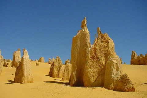 Half Day Pinnacles Sunset Tour - Schoolies Week Accommodation 2