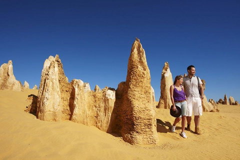 Half Day Pinnacles Sunset Tour - Schoolies Week Accommodation 4