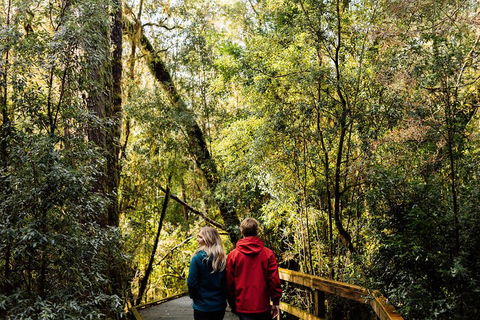 Gordon River Cruise Departing From Strahan - Schoolies Week Accommodation 2
