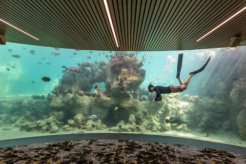 Whitehaven Beach And Daydream Island Cruise - Schoolies Week Accommodation 4