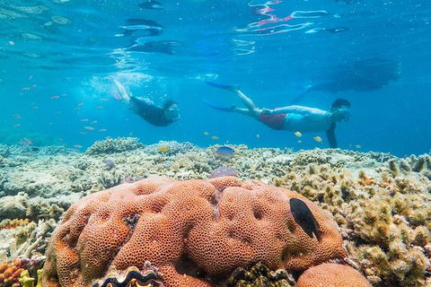Whitehaven Beach & Hill Inlet 
