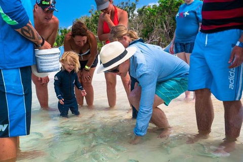 Whitehaven Beach And Hamilton Island Cruise - Schoolies Week Accommodation 1