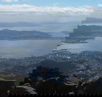 Mt Wellington Tour and MONA Admission - Schoolies Week Accommodation