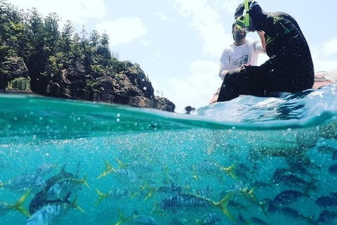 2 Night Small Group Whitsundays Sailing Adventure Aboard Mandrake - Schoolies Week Accommodation 5