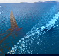 2-Night Whitsunday Islands Sailing Adventure on Trimaran Avatar - Schoolies Week Accommodation
