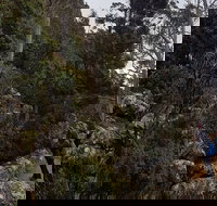 kunanyi / Mt. Wellington Guided Hiking Tour - Schoolies Week Accommodation