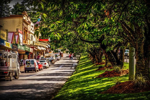 Fully Inclusive Blue Mountains Private Tour Inc Scenic World & Featherdale Entry - Schoolies Week Accommodation 0
