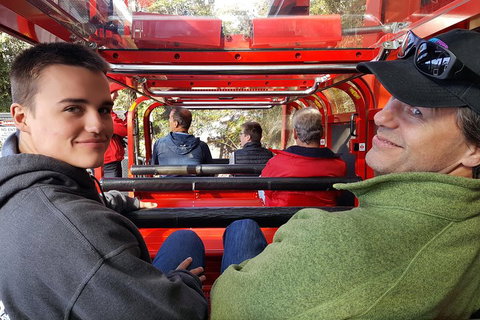 Fully Inclusive Blue Mountains Private Tour Inc Scenic World & Featherdale Entry - Schoolies Week Accommodation 1
