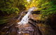 Fully Inclusive Blue Mountains Private Tour Inc Scenic World & Featherdale Entry - thumb 3