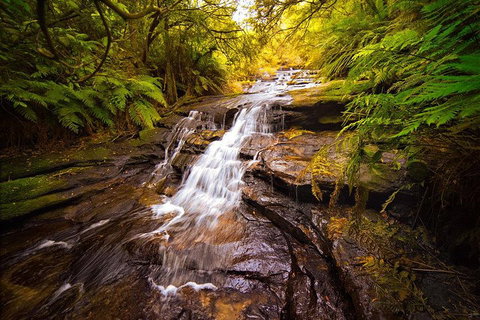 Fully Inclusive Blue Mountains Private Tour Inc Scenic World & Featherdale Entry - Schoolies Week Accommodation 3