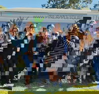Full Day Mount Tamborine Winery Tour from Gold Coast - Schoolies Week Accommodation