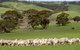 Kangaroo Island Luxury Small Group 'Island Life' Full Day Tour - thumb 1