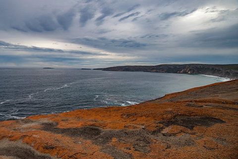Kangaroo Island Luxury Small Group 'Flinders Chase Focus' Full Day Tour - Schoolies Week Accommodation 0