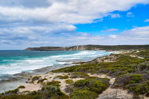 Kangaroo Island Luxury Small Group 'East End Explorer' Full Day Tour - Schoolies Week Accommodation 0