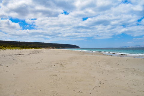 Kangaroo Island Luxury Small Group 'East End Explorer' Full Day Tour - Schoolies Week Accommodation 3
