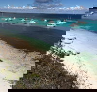Experience Rottnest with Ferry  Bike Hire from Perth or Fremantle - Schoolies Week Accommodation