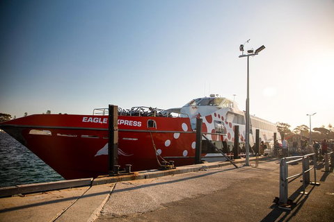 Rottnest Island Round-Trip Ferry From Perth Or Fremantle - Schoolies Week Accommodation 2