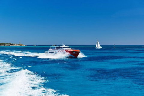 Rottnest Island Round-Trip Ferry From Perth Or Fremantle - Schoolies Week Accommodation 4