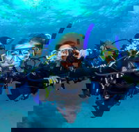 Great Barrier Reef Diving and Snorkeling Cruise from Cairns - Schoolies Week Accommodation