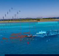 Ocean Free Green Island  Great Barrier Reef Snorkel Cruise Cairns 25 guests - Schoolies Week Accommodation