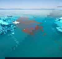 Ocean Freedom Great Barrier Reef Personal Luxury Snorkel  Dive Cruise Cairns - Schoolies Week Accommodation