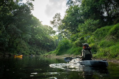 Byron Bay Rainforest Fishing - Schoolies Week Accommodation 1