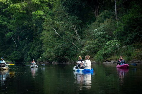 Byron Bay Rainforest Fishing - Schoolies Week Accommodation 2