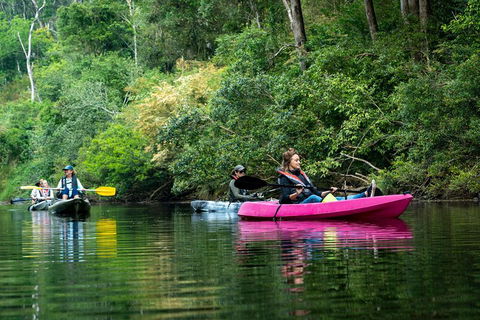 Byron Bay Rainforest Fishing - Schoolies Week Accommodation 4