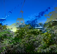 Classic Kuranda by Skyrail and Scenic Railway Including Rainforestation Koala and Wildlife Park and Pamagirri Aboriginal Experi - Schoolies Week Accommodation