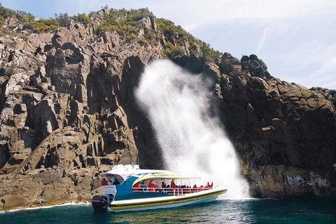 Full-Day Bruny Island Cruises Day Tour From Hobart - Schoolies Week Accommodation 4