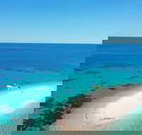 Ocean Safari Great Barrier Reef Experience in Cape Tribulation - Schoolies Week Accommodation