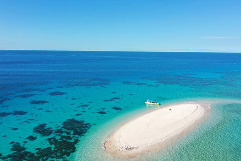 Ocean Safari Great Barrier Reef Experience In Cape Tribulation - Schoolies Week Accommodation 0