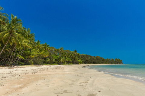 Ocean Safari Great Barrier Reef Experience In Cape Tribulation - Schoolies Week Accommodation 4