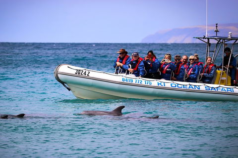 Kangaroo Island 75-Minute Ocean Safari - Schoolies Week Accommodation 4