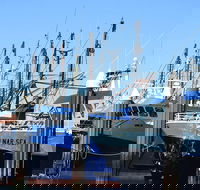 One Day Port Lincoln Tour - Tasting Eyre - Schoolies Week Accommodation