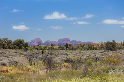 Overnight Uluru (Ayers Rock) Small-Group Camping Tour - Schoolies Week Accommodation 0