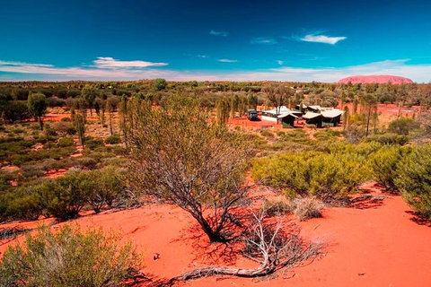Overnight Uluru (Ayers Rock) Small-Group Camping Tour - Schoolies Week Accommodation 2