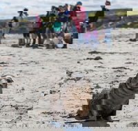 Kangaroo Island in a Day Tour from Adelaide - Schoolies Week Accommodation
