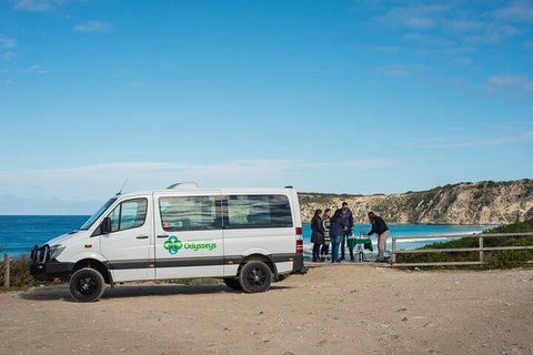 Full Day Flinders Chase Tour From Kangaroo Island - Schoolies Week Accommodation 3