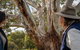Full Day Flinders Chase Tour From Kangaroo Island - thumb 5