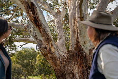 Full Day Flinders Chase Tour From Kangaroo Island - Schoolies Week Accommodation 5