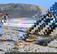Full day Seal Bay Experience departing from Kangaroo Island - Schoolies Week Accommodation
