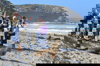 Full day Seal Bay Experience departing from Kangaroo Island, North Cape